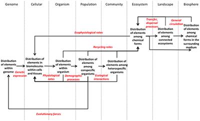 An Operational Framework for the Advancement of a Molecule-to-Biosphere Stoichiometry Theory